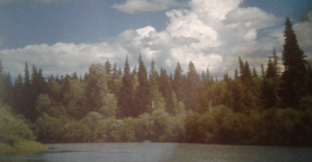 Une forêt autour d'un lac.