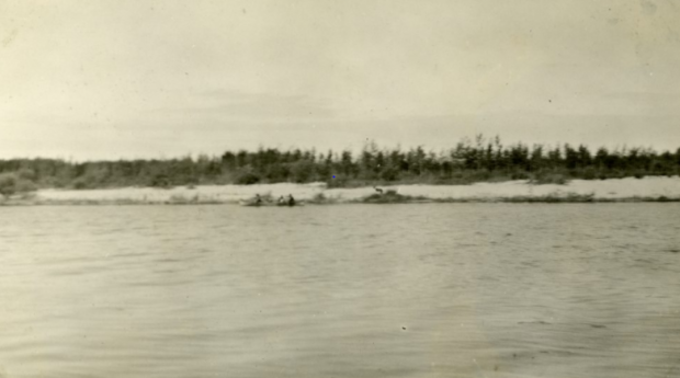 Photo en noir et blanc de canoës sur une rivière.