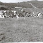 Des familles lors d’une fête en plein air dans un champ