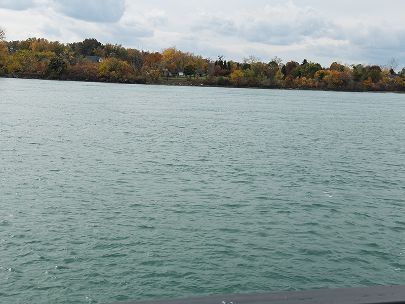 Gros plan sur la rivière Détroit à Amherstburg, avec l’eau calme au premier plan et une rive bordée d’arbres d’automne au loin sous un ciel nuageux. Photo de Blessing Ogunyemi.