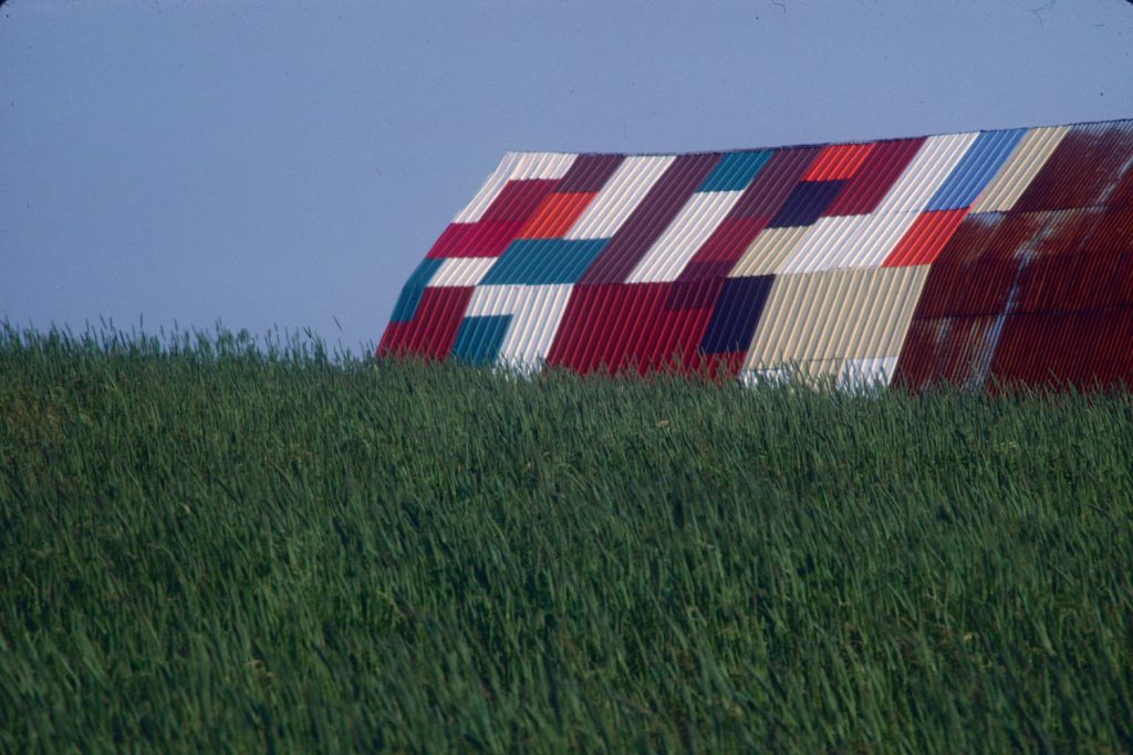 Photographie couleur d'un champs de verdure avec à l'arrière-plan le toit d'un édifice en tôle aux pièces multicolores.