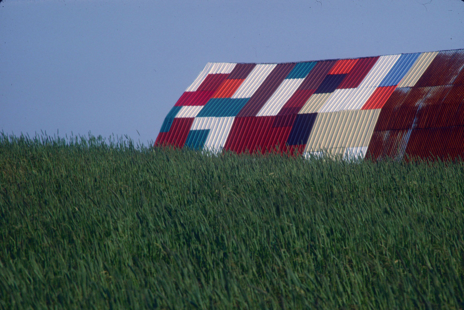 Photographie couleur d'un champs de verdure avec à l'arrière-plan le toit d'un édifice en tôle aux pièces multicolores.