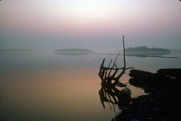 Photographie couleur prise à la brunante d'un vue sur un lac avec des îlots et des pièces de bois flottantes.