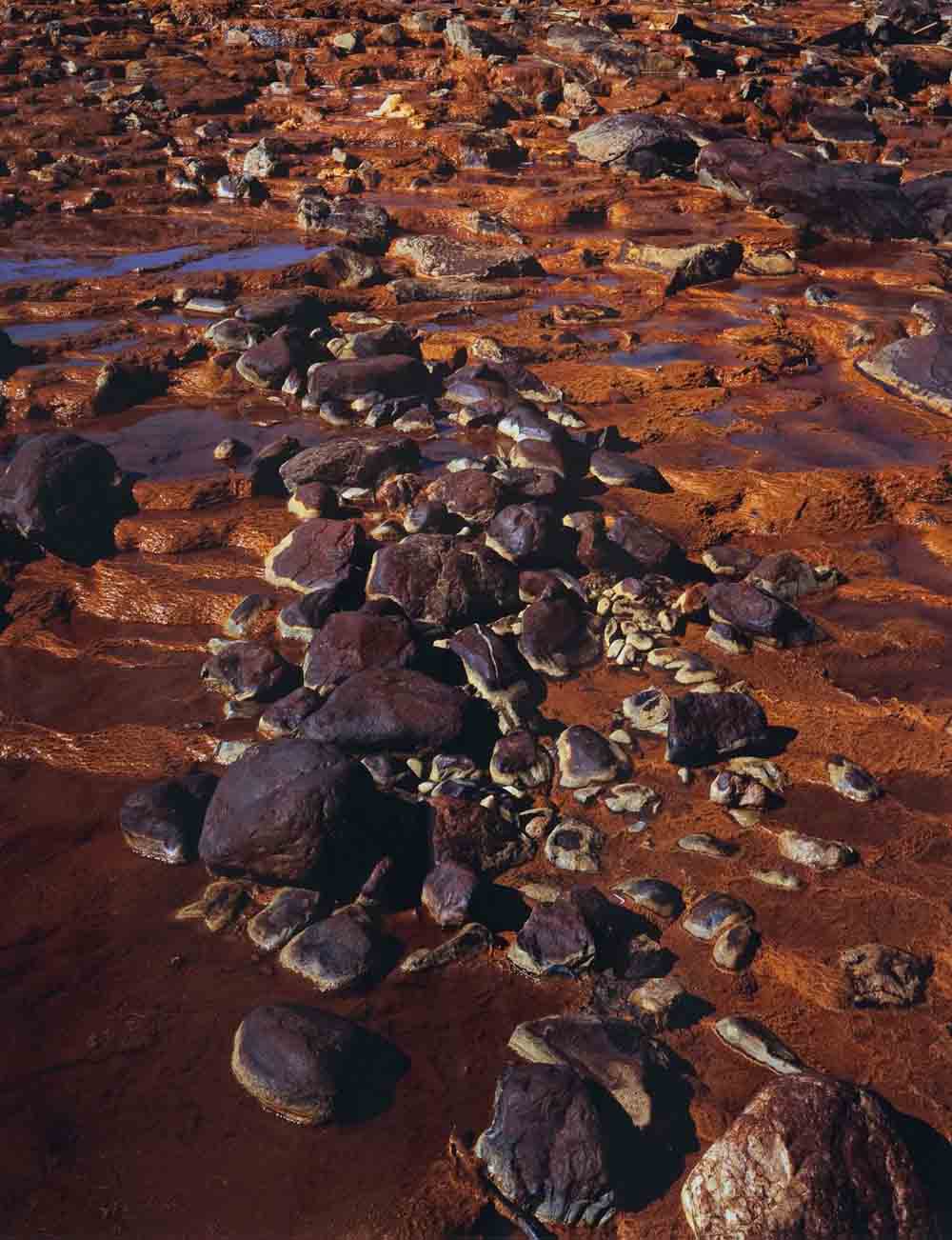 Photographie d’art d’un sol aux teintes rouille parsemées de roches violacées et quelques petites flaques d’eau.