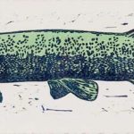 Le brochet