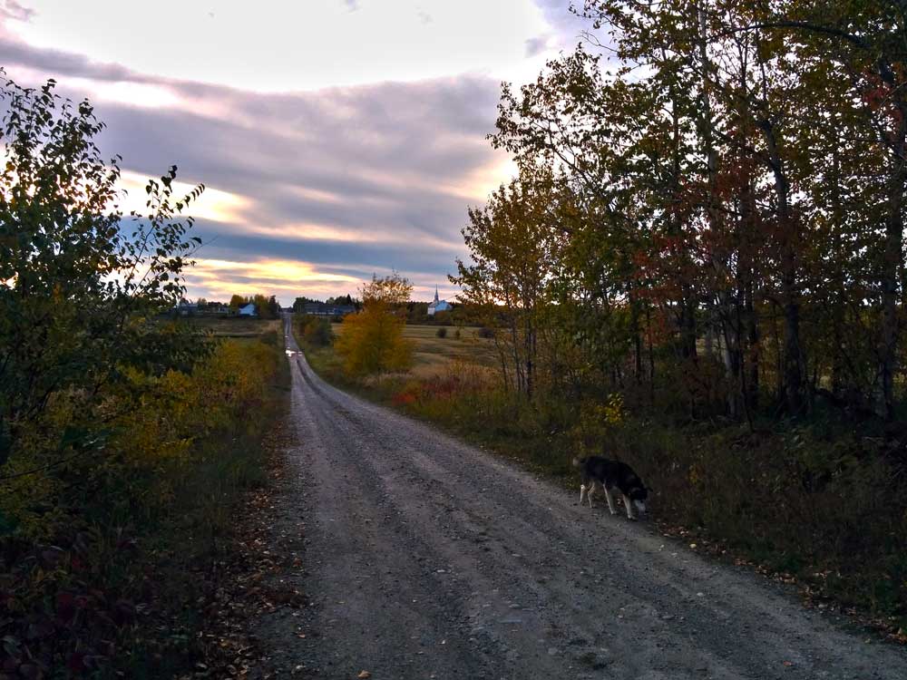 Vue éloignée sur un village rural à partir d'un rang de campagne, en automne, en fin de journée. On y voit un chien en avant-plan.