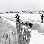 Course en traîneau à chiens lors du Carnaval d’hiver de Rouyn-Noranda