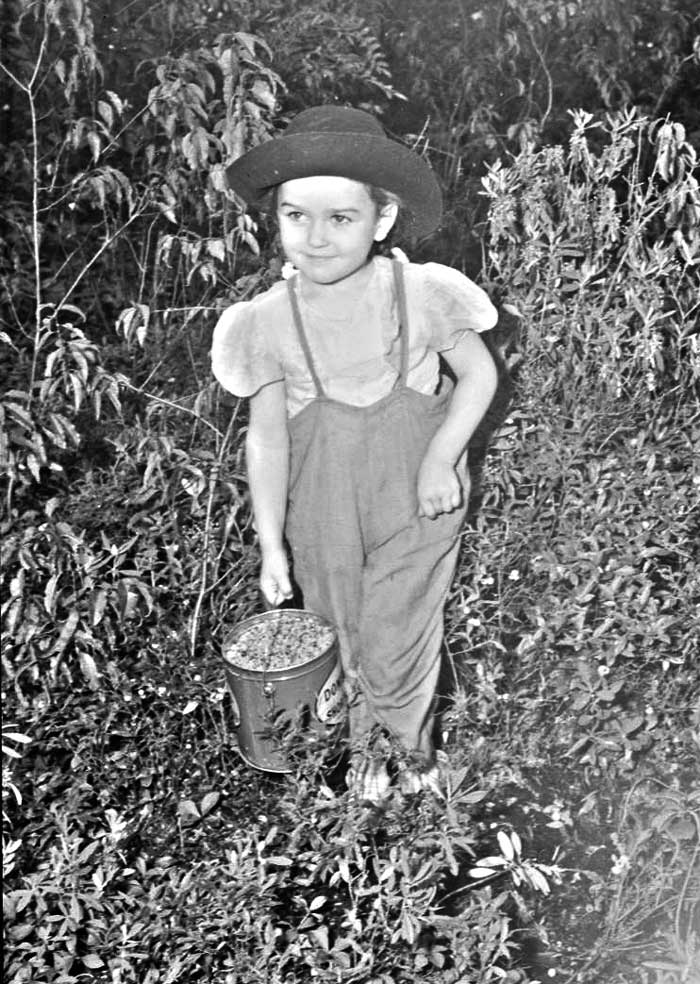 Photographie noir et blanc d'une jeune fille dans les bois avec un panier de bleuets bien rempli.