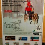 Affiche publicitaire pour une course de chien attelés
