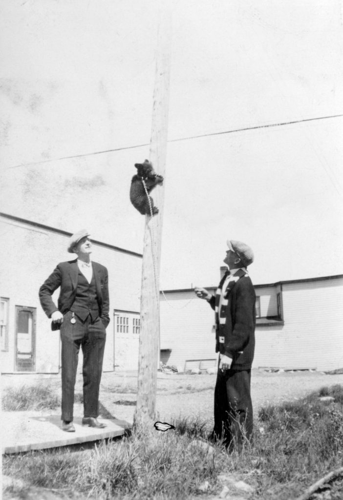 Photographie en noir et blanc de deux hommes et d'un ourson qui grimpe dans un poteau.