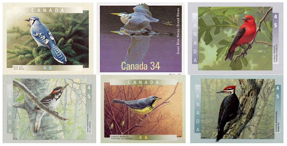 Montage de 6 timbres canadiens illustrant certains oiseaux de nos forêts.