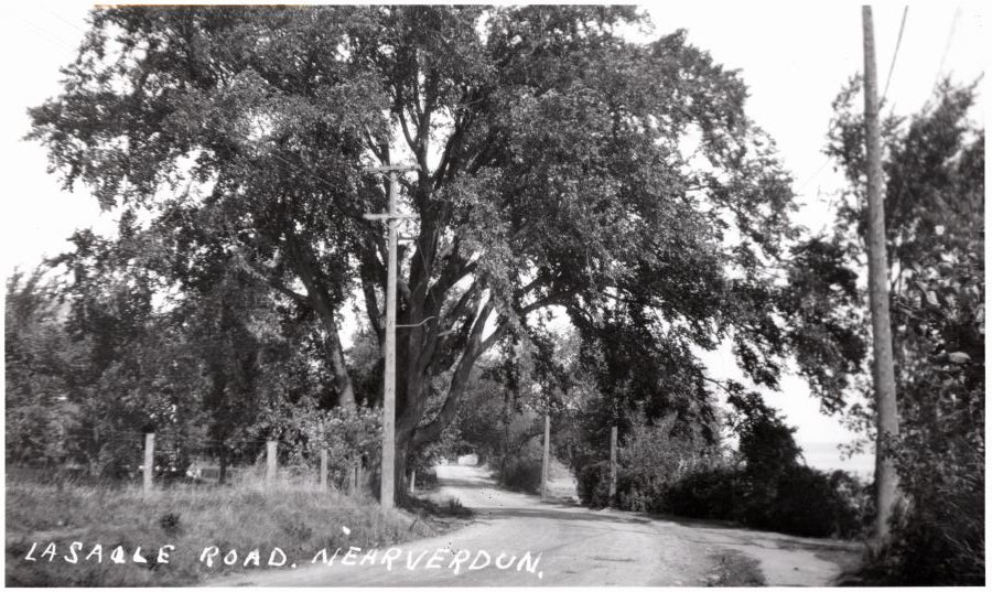 Photographie en noir en blanc d’un chemin de terre bordé par plusieurs arbres matures. Une clôture de ferme longe une partie du chemin.