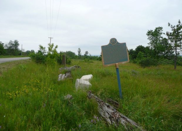 Plaque métallique le long de la route entourée de hautes herbes et de bûches en décomposition.