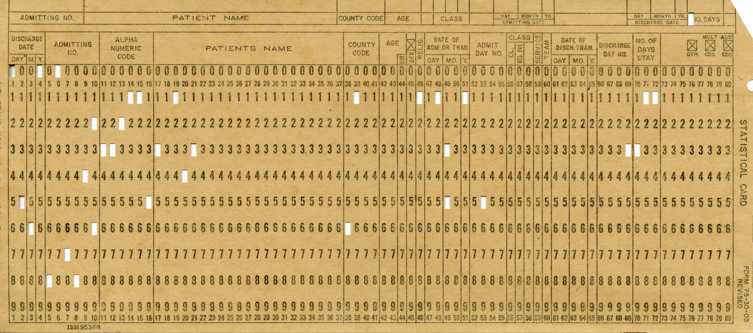 Image scannée d’une carte poinçonnée étiquetée « Carte statistique ». Plusieurs trous ont été poinçonnés.