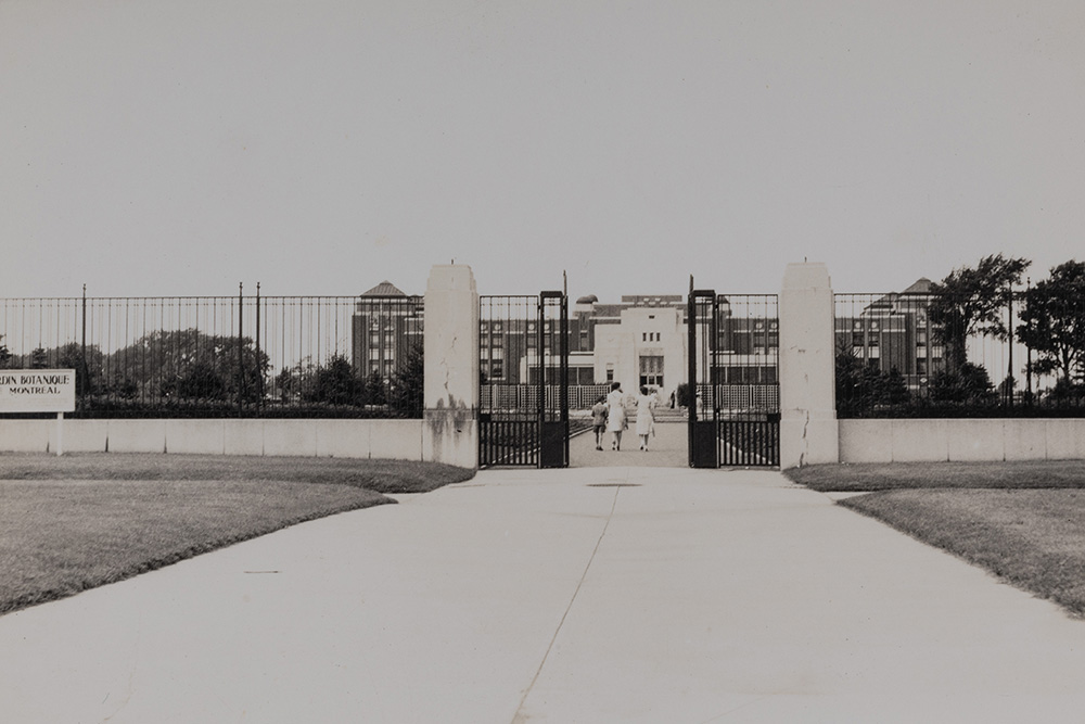 En noir et blanc, la grille d’entrée du Jardin botanique de Montréal se dresse devant son bâtiment principal. Une famille, de dos, marche dans l’allée centrale menant à l’édifice de style art déco.