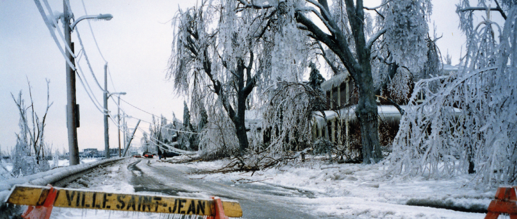 The Champlain road in Saint-Jean was closed because of falling branches and electrical wires that hang. - La rue Champlain à Saint-Jean est fermée à cause de la chute de branches et des fils électriques qui pendent.