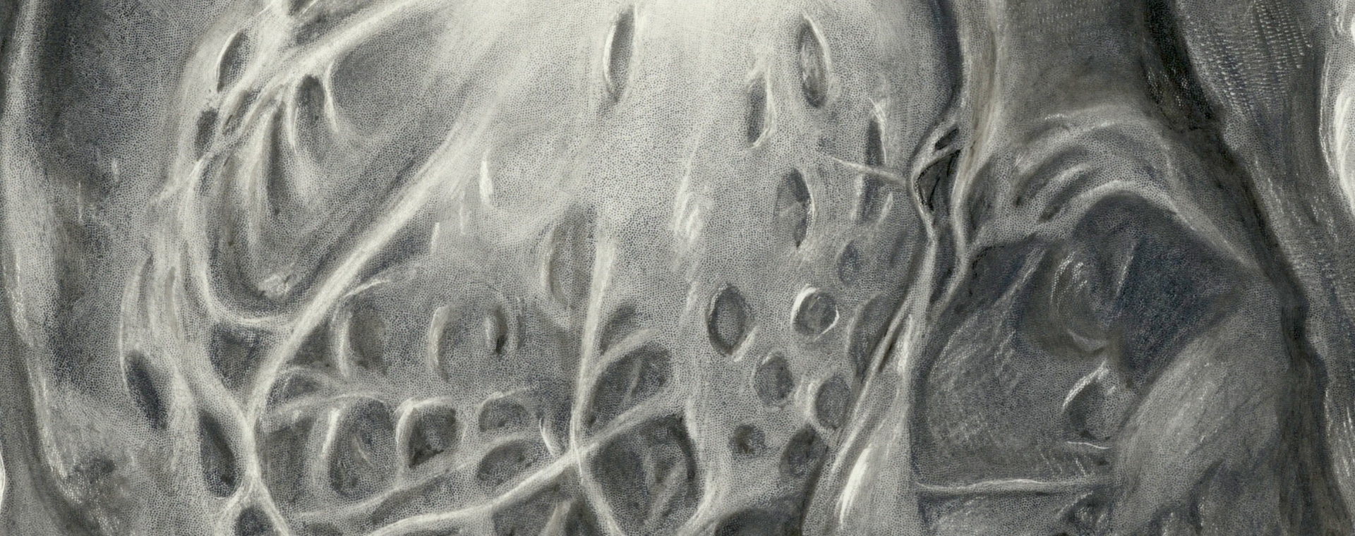 Illustration en noir et blanc montrant la valve aortique.